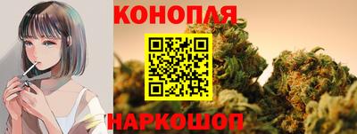 дживик Бийск