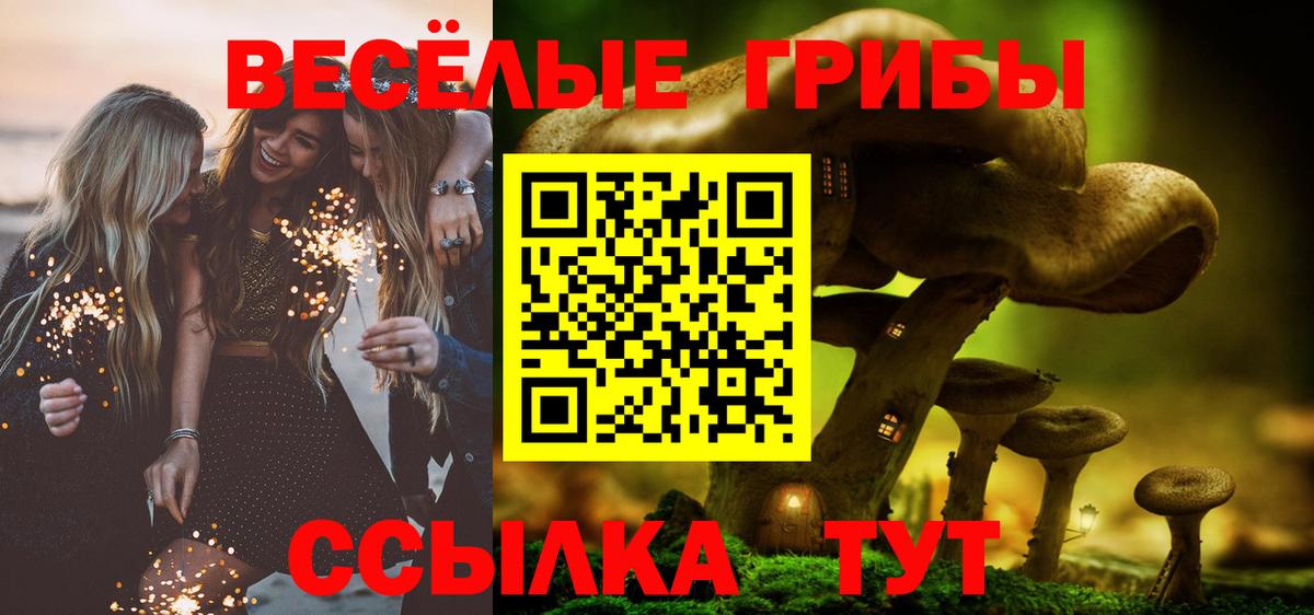 Псилоцибиновые грибы Cubensis  Вход с VPN  Знаменск 